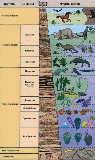 Стратиграфическая классификация земных слоев