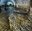 Подземные реки Киева